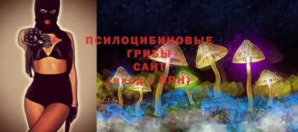 крисы Алексеевка