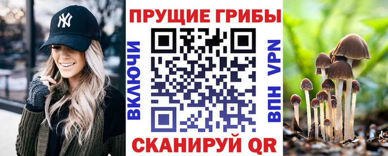 Псилоцибиновые грибы Cubensis  МЕГА зеркало  Ардон 